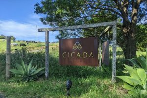 Entrance - Cicada Luxury Camping