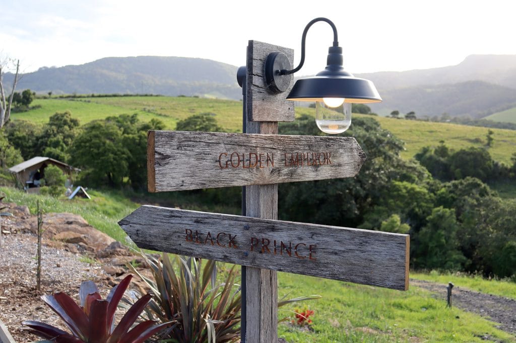 Grounds - Cicada Luxury Camping