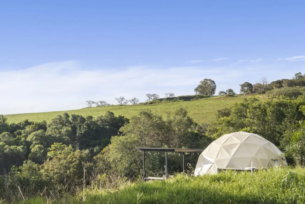 silver knight exterior3